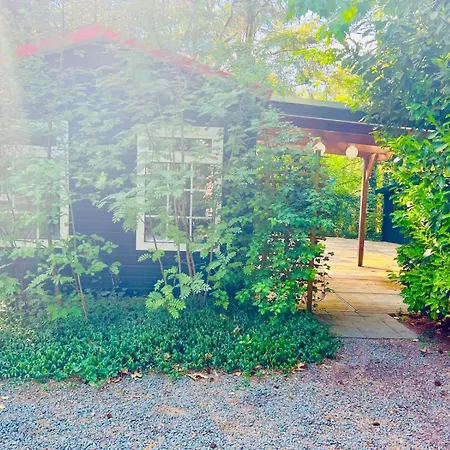 Hooglander Rust, Boschaletje * Hattemerbroek