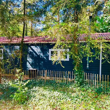 Hooglander Rust, Boschaletje Hattemerbroek