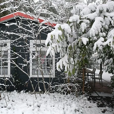 Hooglander Rust, Boschaletje * Hattemerbroek