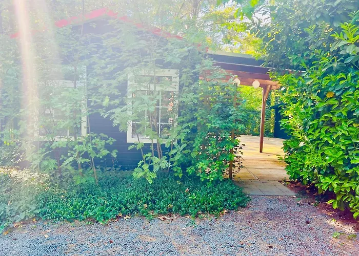 Hooglander Rust, Boschaletje * Hattemerbroek