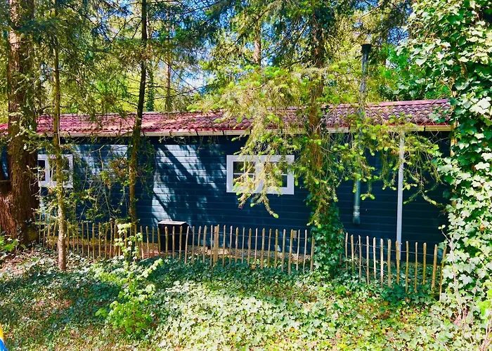 Hooglander Rust, Boschaletje Hattemerbroek