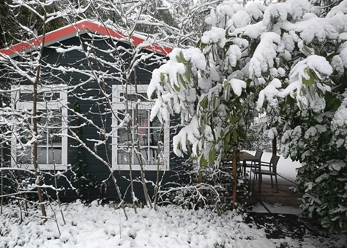 Hooglander Rust, Boschaletje * Hattemerbroek