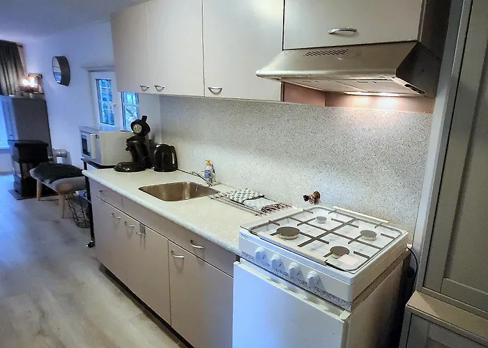 Chalet Hooglander Rust, Boschaletje Hattemerbroek